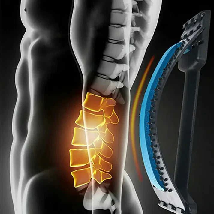 Civière dorsale orthopédique